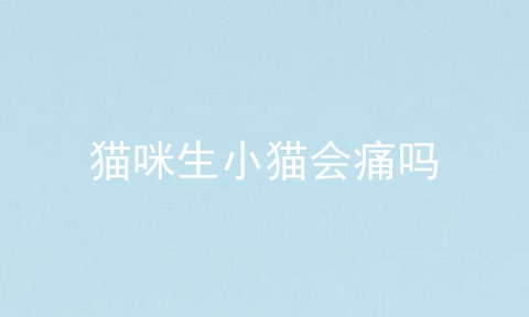 猫咪生小猫会痛吗