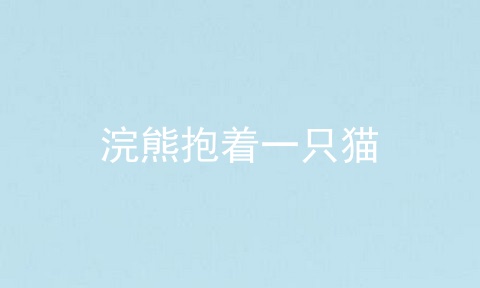 浣熊抱着一只猫