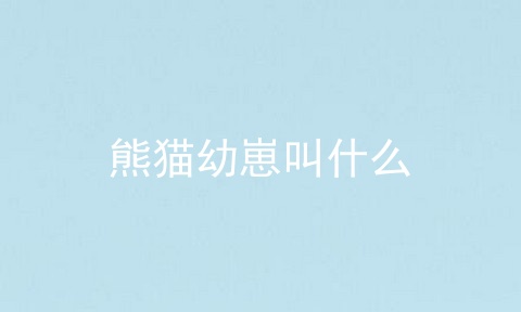 熊猫幼崽叫什么