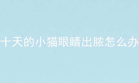 十天的小猫眼睛出脓怎么办