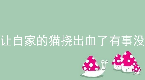 让自家的猫挠出血了有事没
