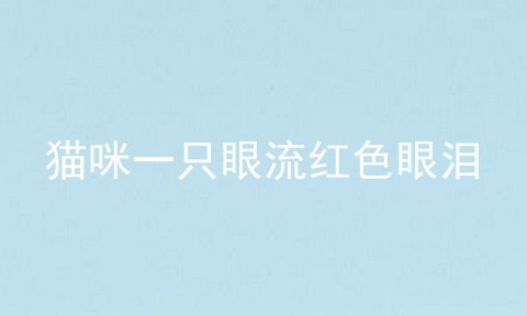 猫咪一只眼流红色眼泪