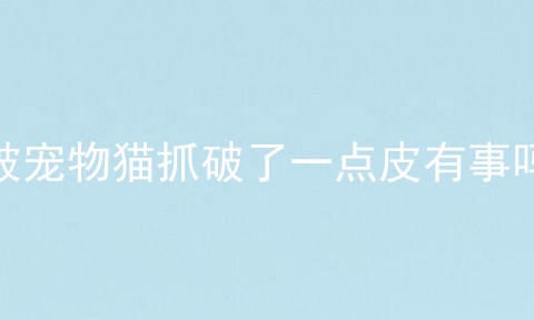 被宠物猫抓破了一点皮有事吗