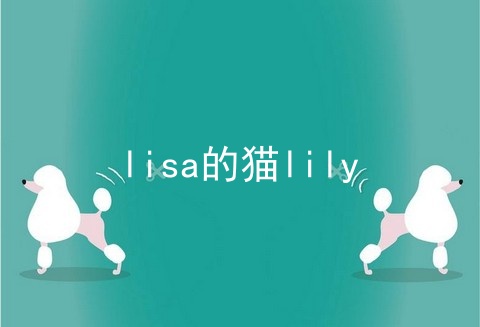 lisa的猫lily