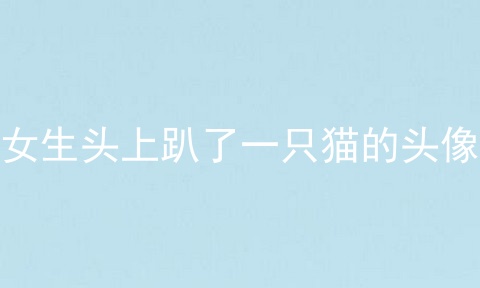 女生头上趴了一只猫的头像
