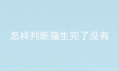 怎样判断猫生完了没有