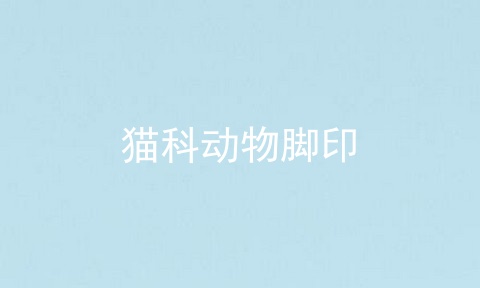 猫科动物脚印