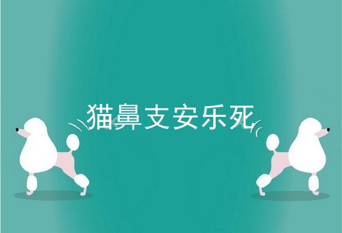 猫鼻支安乐死