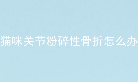 猫咪关节粉碎性骨折怎么办