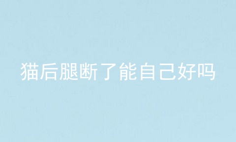 猫后腿断了能自己好吗