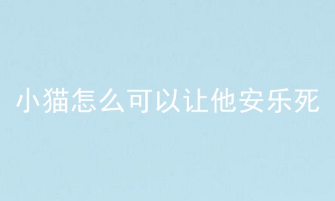 小猫怎么可以让他安乐死