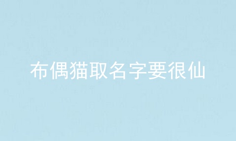布偶猫取名字要很仙