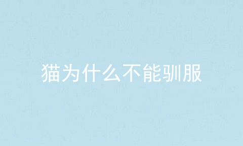 猫为什么不能驯服