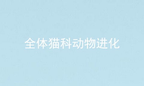 全体猫科动物进化