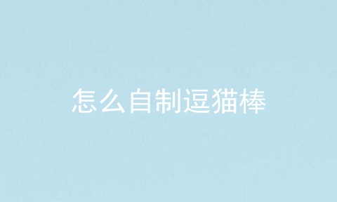 怎么自制逗猫棒