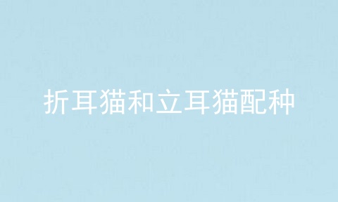 折耳猫和立耳猫配种