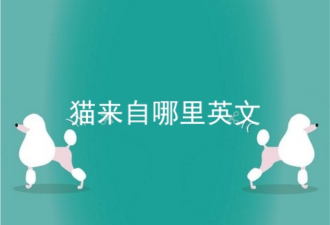 猫来自哪里英文