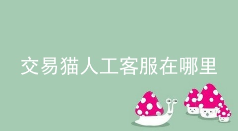 交易猫人工客服在哪里