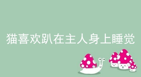 猫喜欢趴在主人身上睡觉