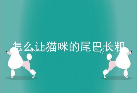 怎么让猫咪的尾巴长粗