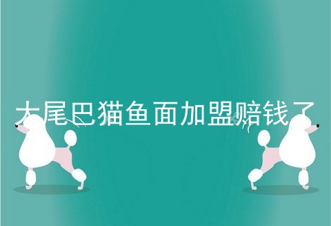 大尾巴猫鱼面加盟赔钱了