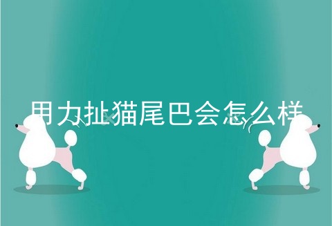 用力扯猫尾巴会怎么样