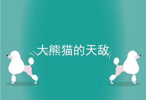 大熊猫的天敌