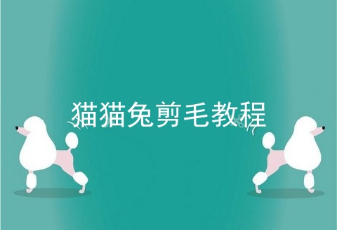 猫猫兔剪毛教程