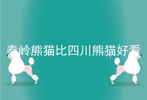 秦岭熊猫比四川熊猫好看