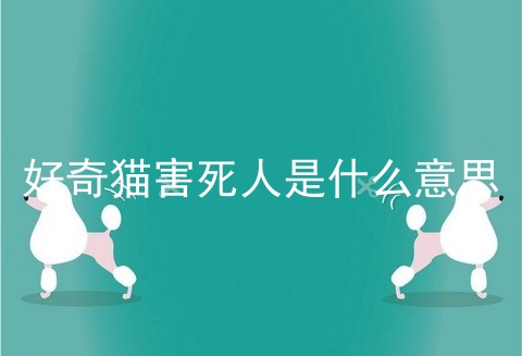 好奇猫害死人是什么意思