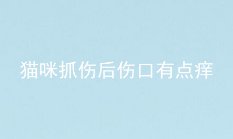 猫咪抓伤后伤口有点痒