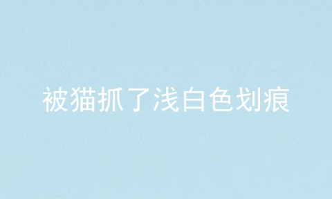 被猫抓了浅白色划痕