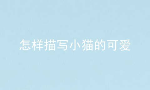 怎样描写小猫的可爱