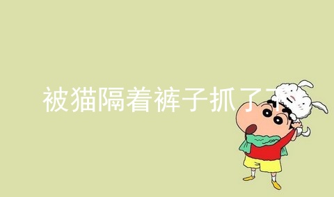 被猫隔着裤子抓了下