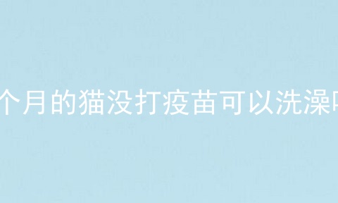 6个月的猫没打疫苗可以洗澡吗