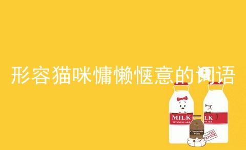 形容猫咪慵懒惬意的词语