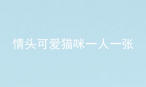 情头可爱猫咪一人一张
