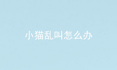 小猫乱叫怎么办