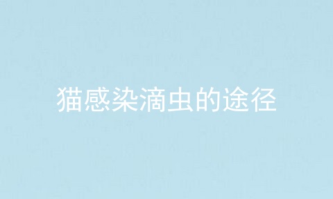 猫感染滴虫的途径