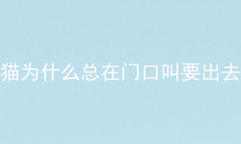 猫为什么总在门口叫要出去