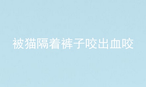 被猫隔着裤子咬出血咬
