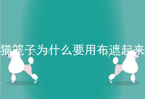 猫笼子为什么要用布遮起来
