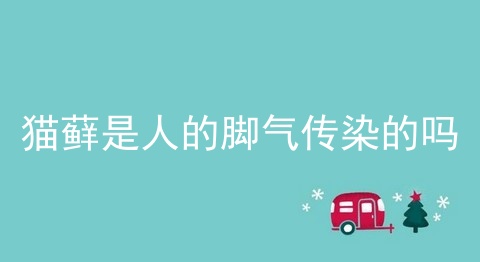 猫藓是人的脚气传染的吗