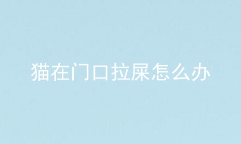 猫在门口拉屎怎么办