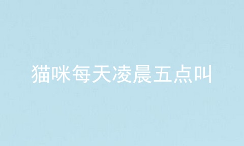猫咪每天凌晨五点叫