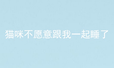 猫咪不愿意跟我一起睡了