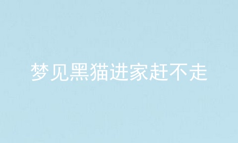 梦见黑猫进家赶不走