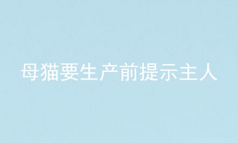 母猫要生产前提示主人