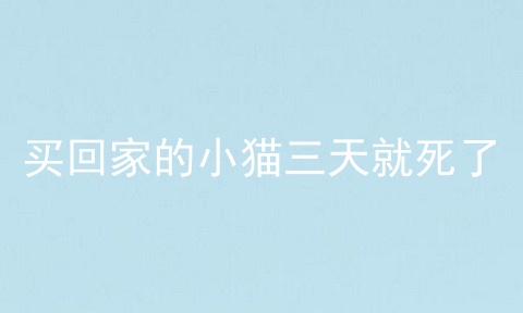 买回家的小猫三天就死了