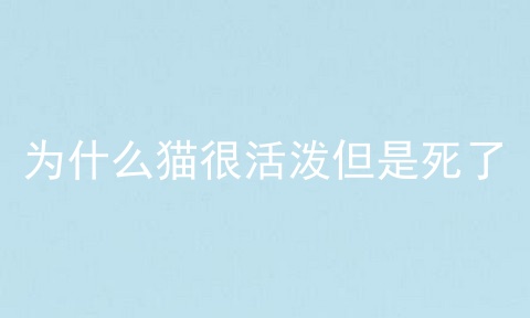为什么猫很活泼但是死了